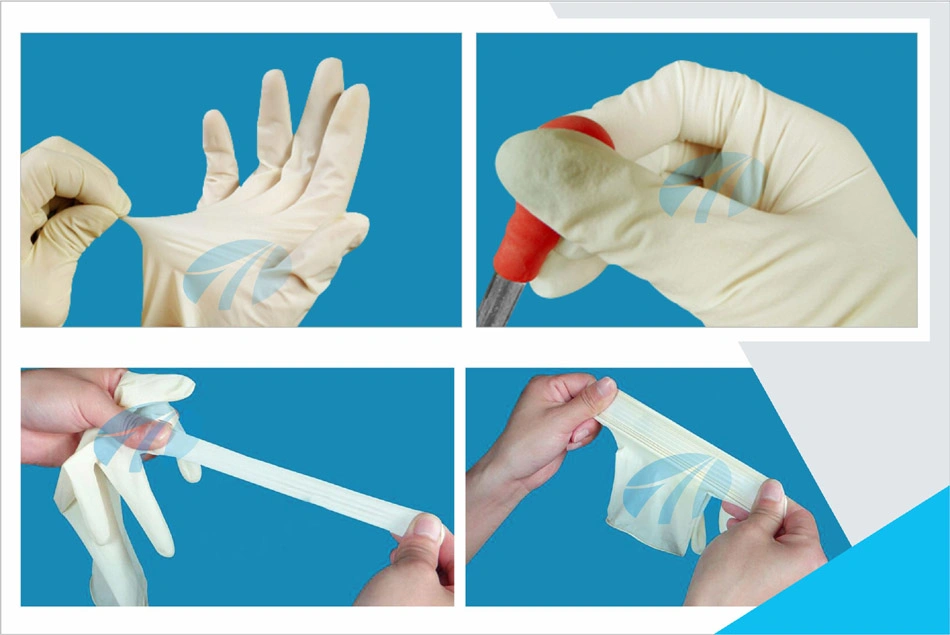 Good Quality Factory Price Powder Free Latex Examination Gloves in Malaysia